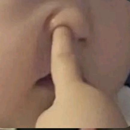 炒饭加葱.
