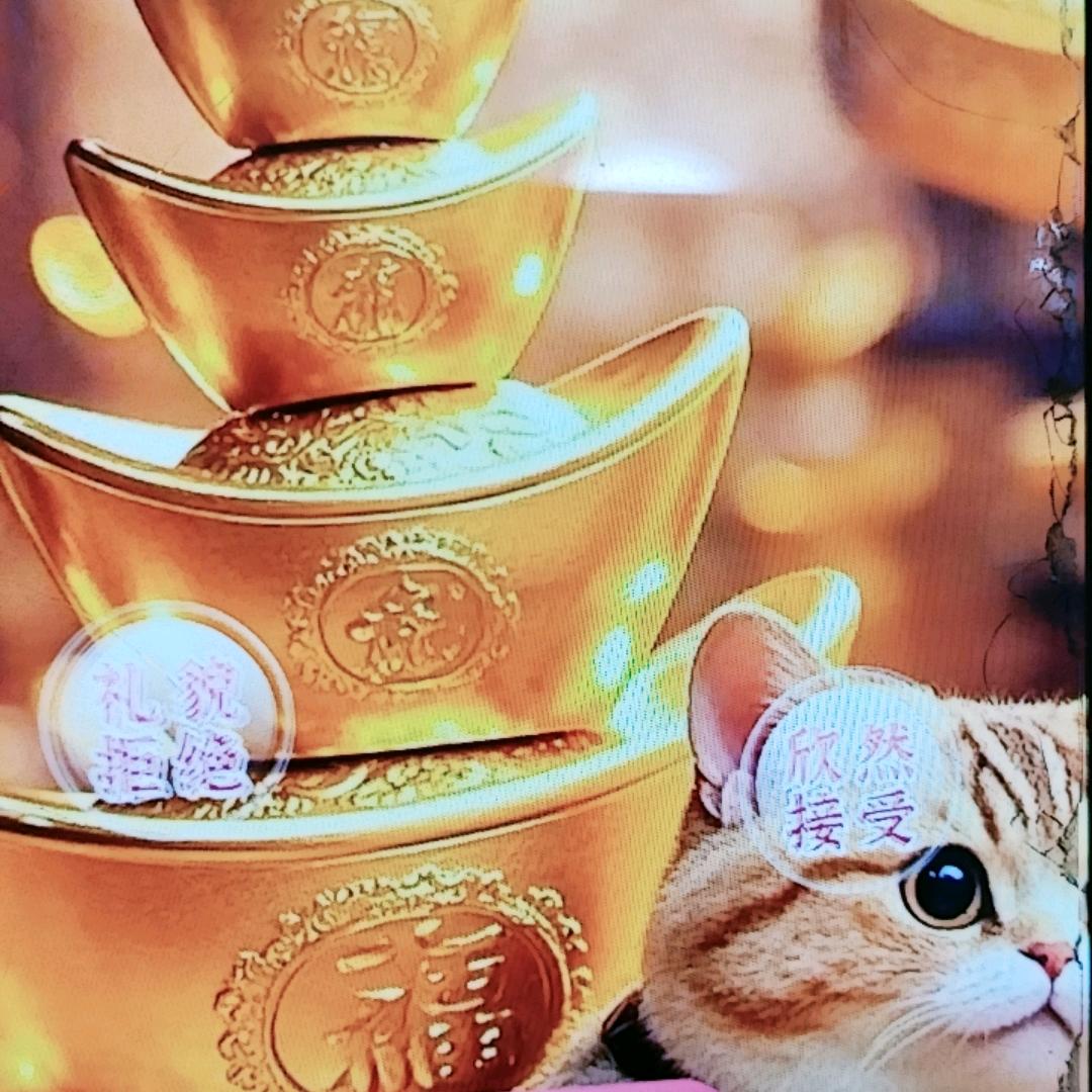 静心🧚‍♀️
