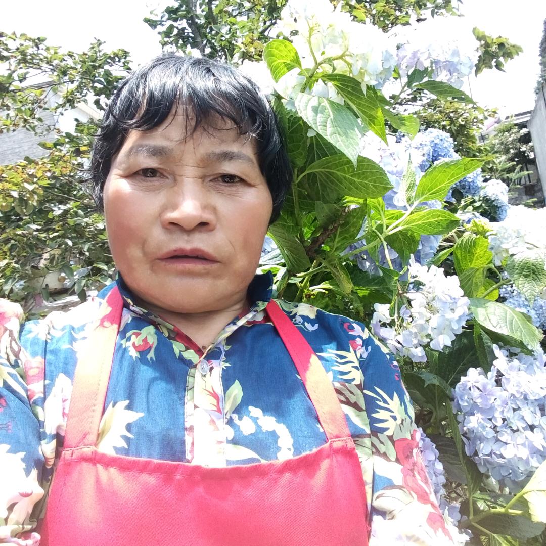 张青美