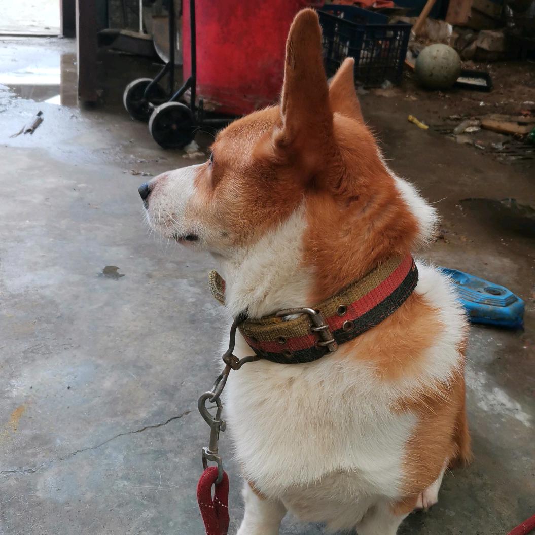 笑看几月