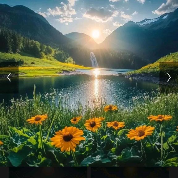 三告三告吾小君