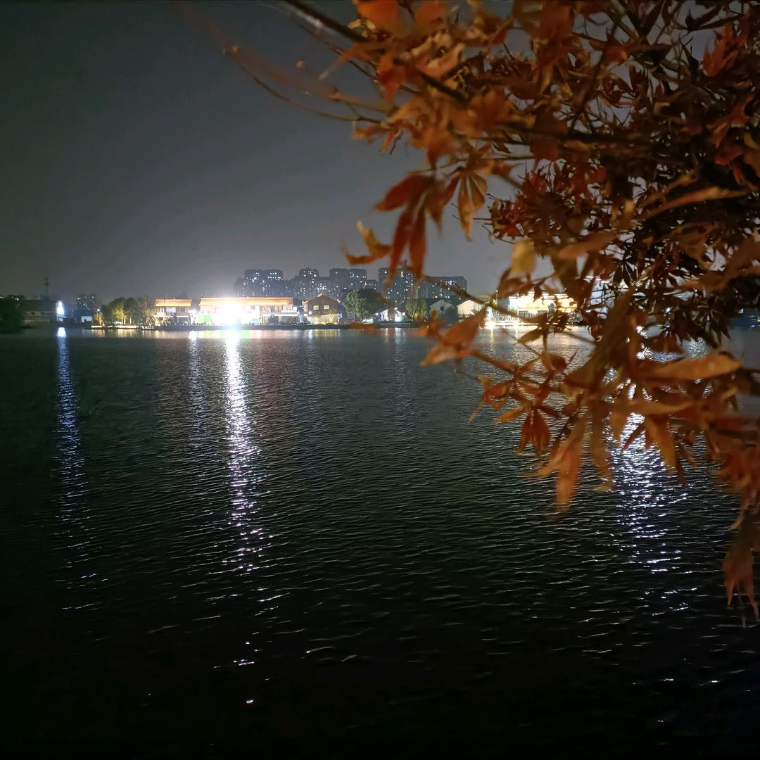 酒酒八十一