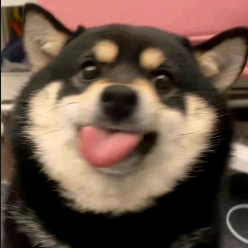 叽咕咕叽