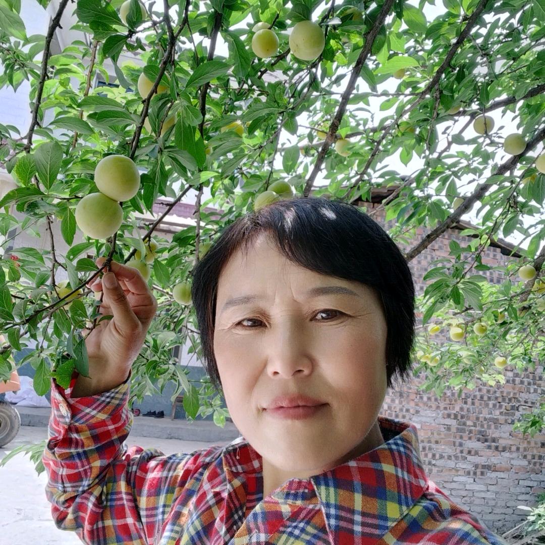 ℳঞ四川萍🍒水相逢꧔ꦿ້໌ᮨ࿐