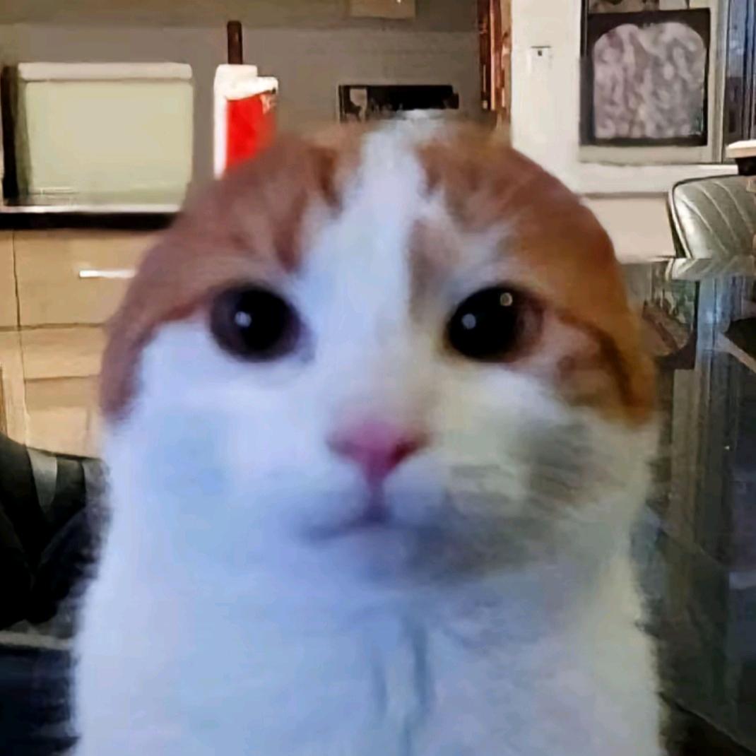 莉我远点
