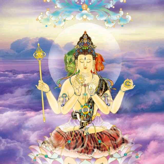 一点也不冷就是哆嗦