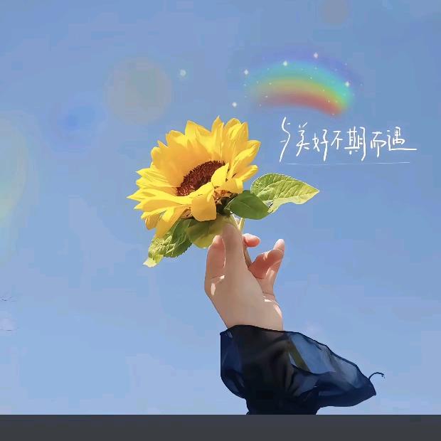 小锦鲤