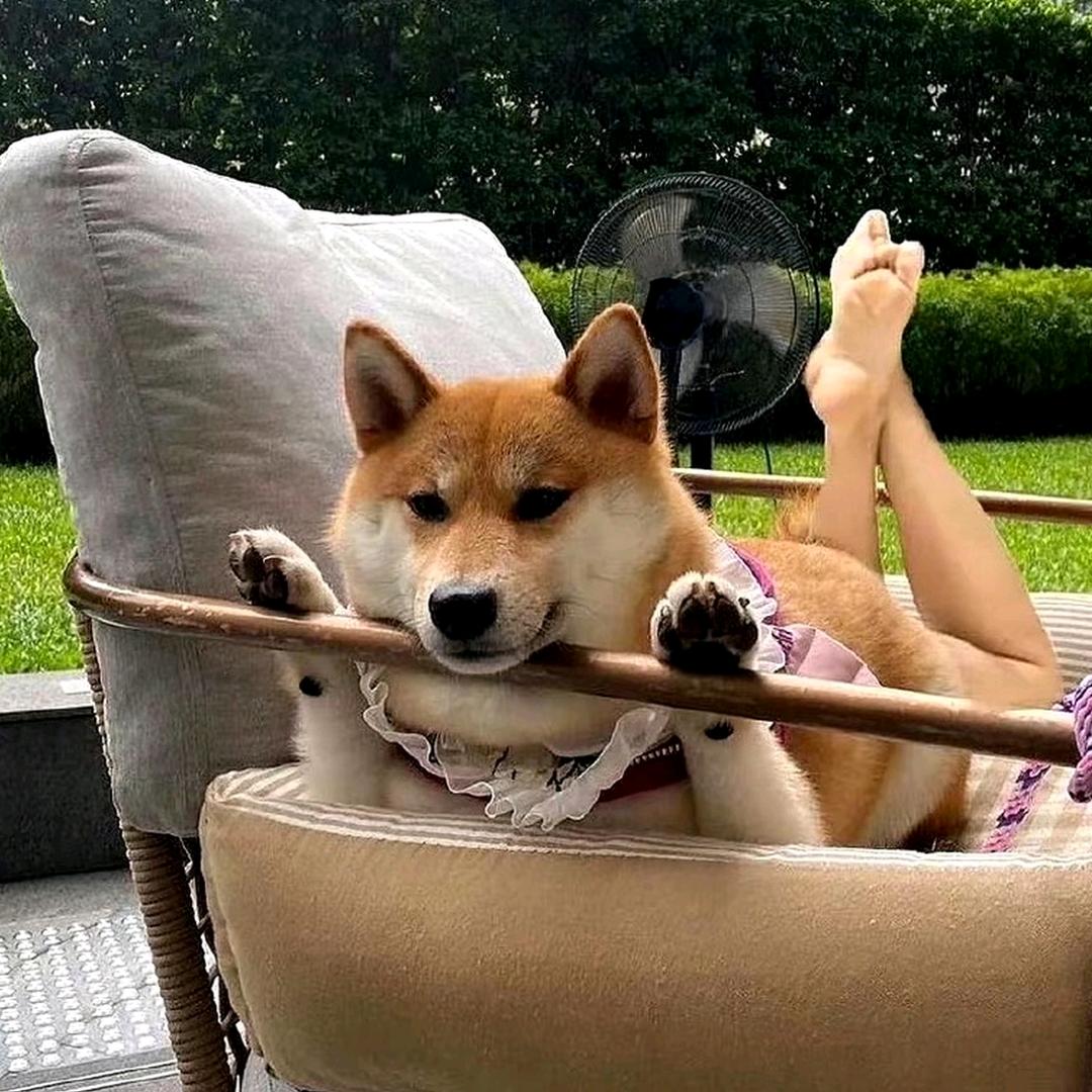 再变好✔