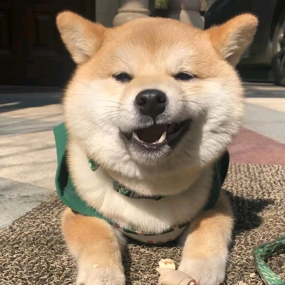 -许什么悠-