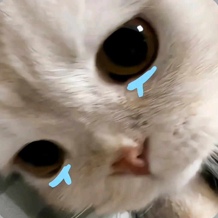 晚江.