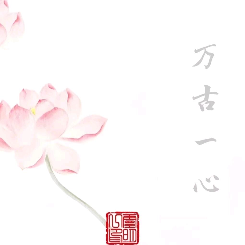 孤身走我路