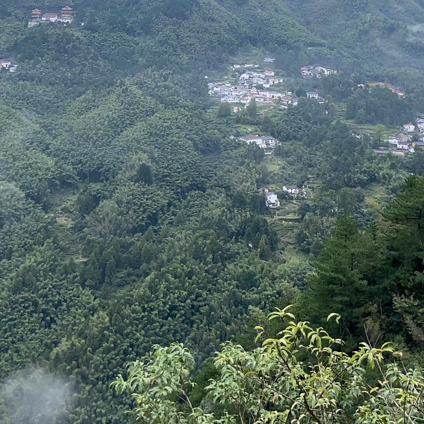 相信未来