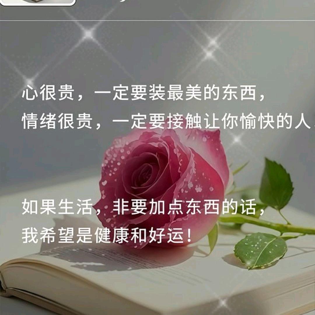 红尘看客