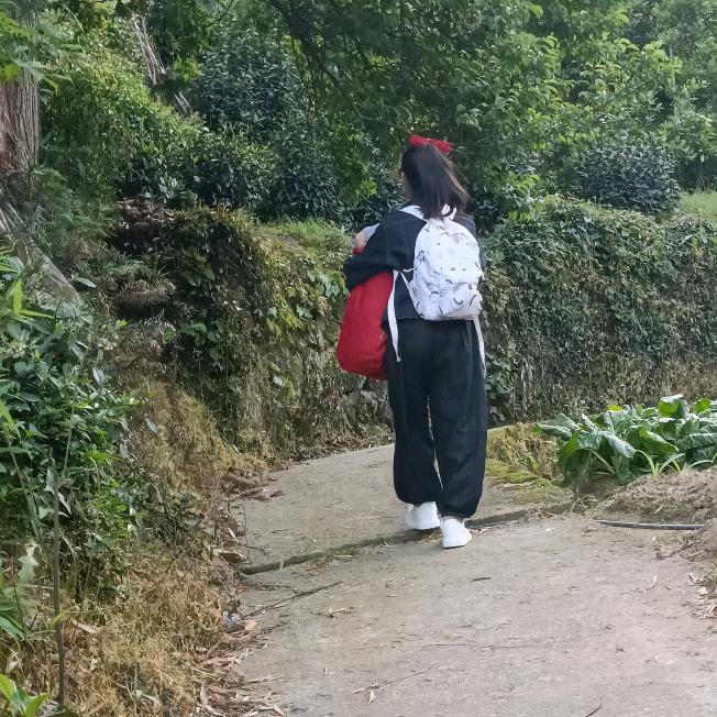 郑点钱