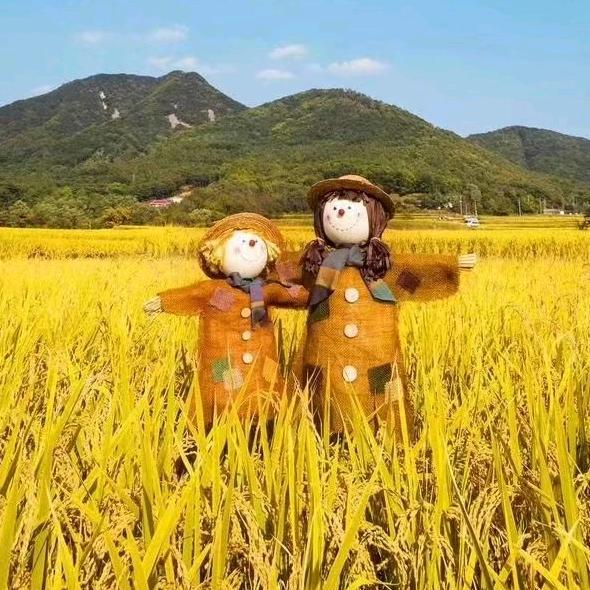 沈飞鸿