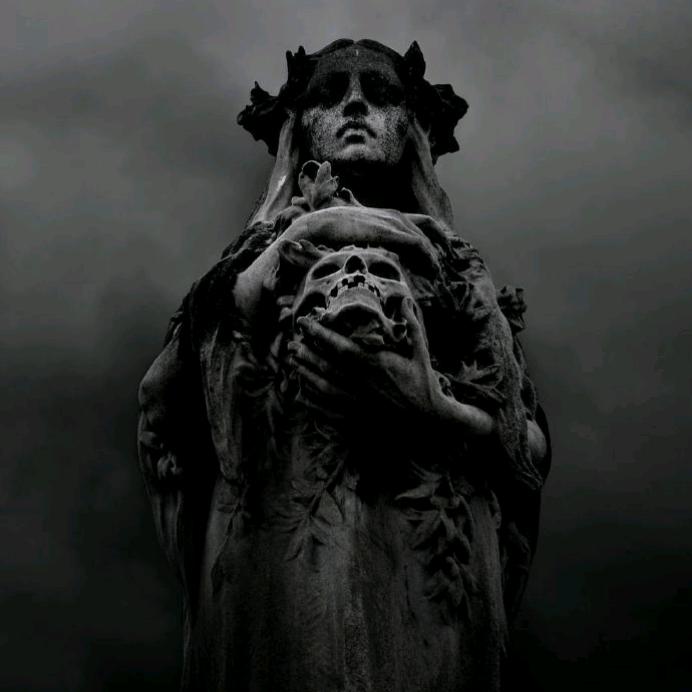 人间蹭饭的过客