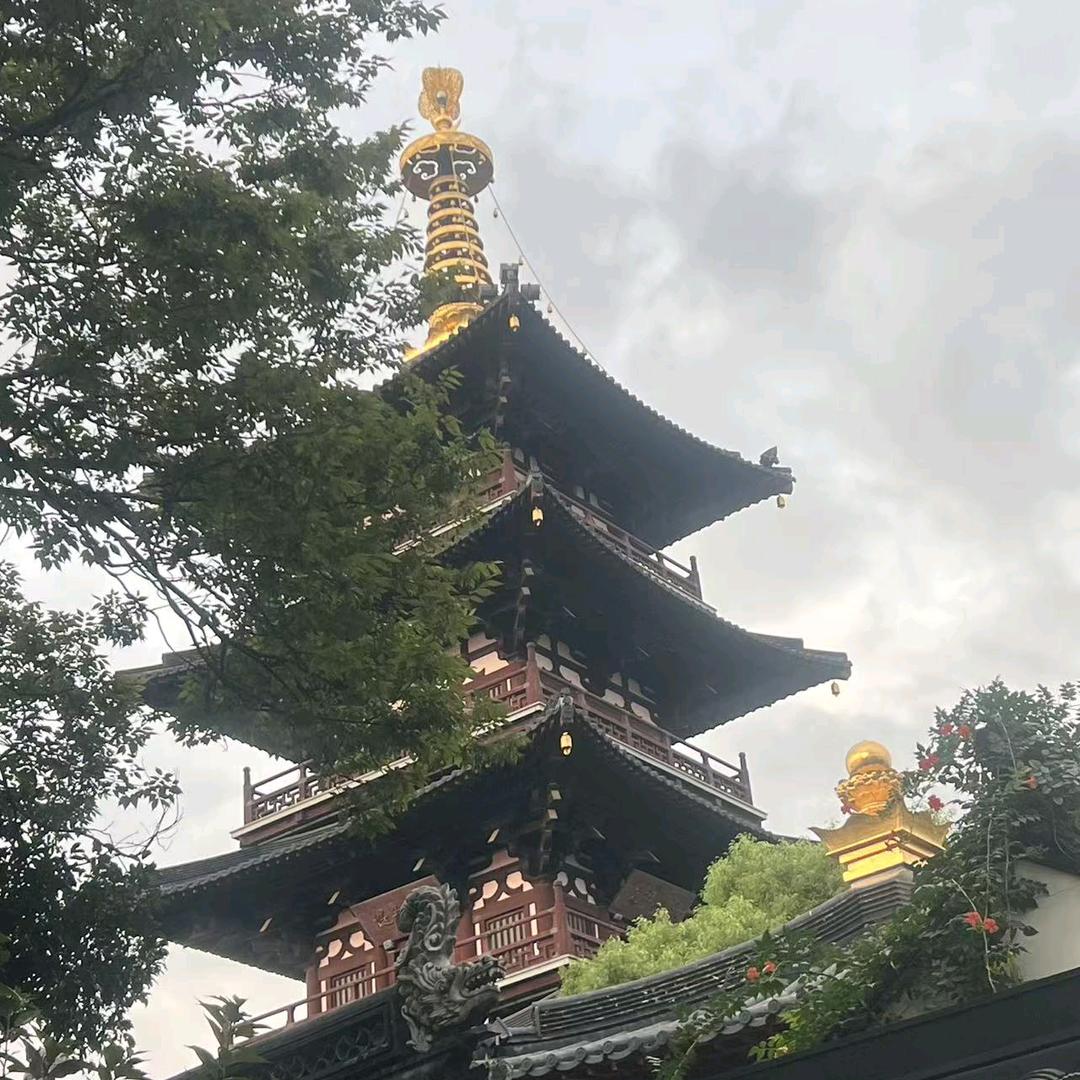 岁月静好🌸
