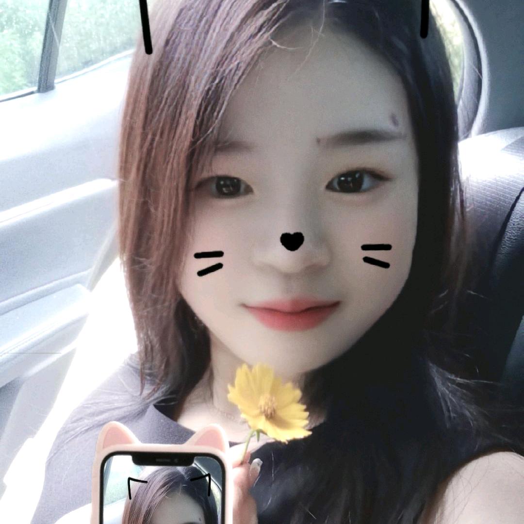 茅台小可爱