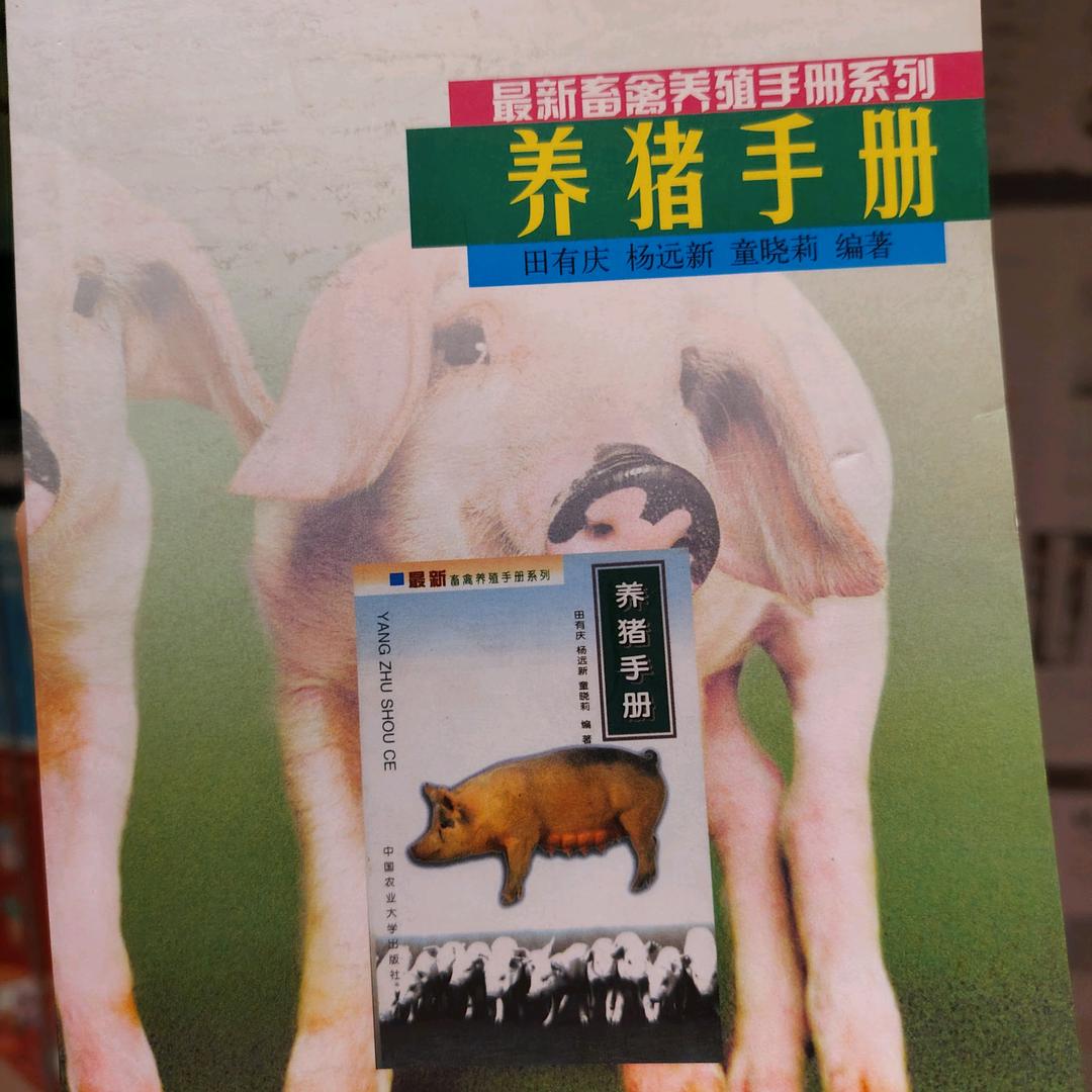 湘妹子（努力帮爸妈卖茶油）