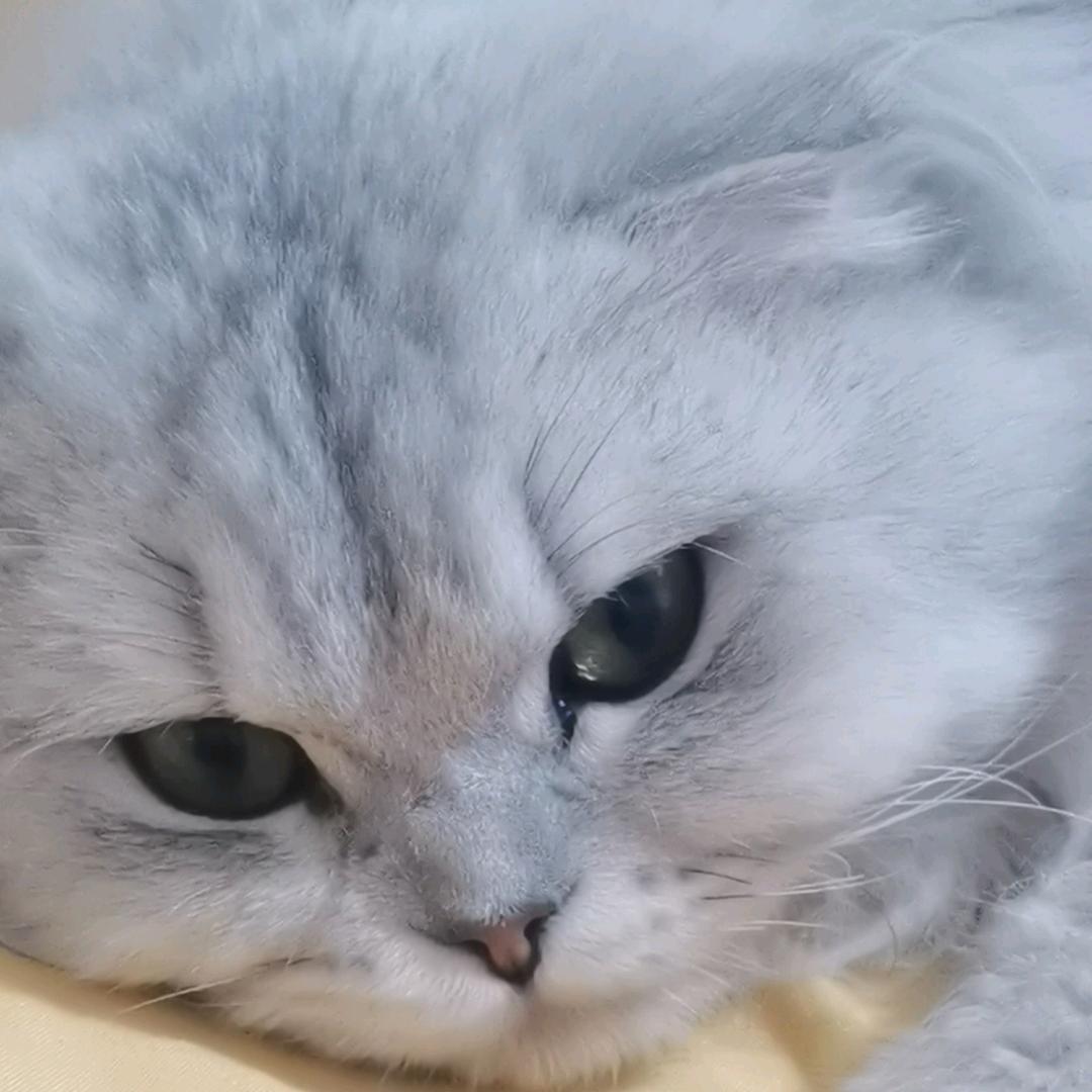 💞꧔ꦿ᭄ 娟ღ᭄💕