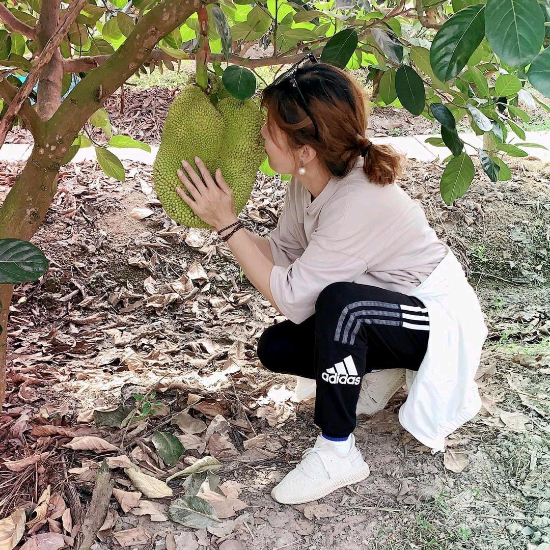 新奇美&