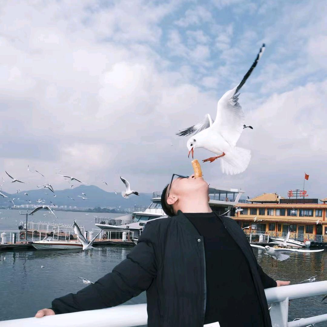 小高
