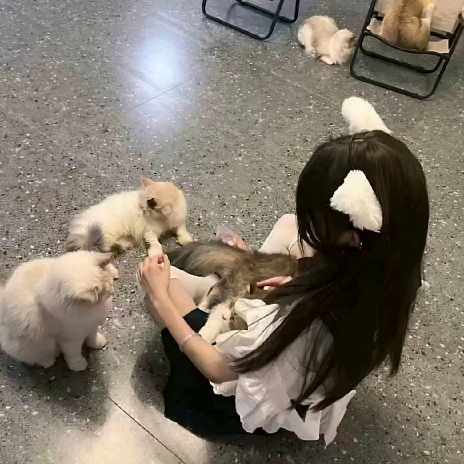 小妍💕