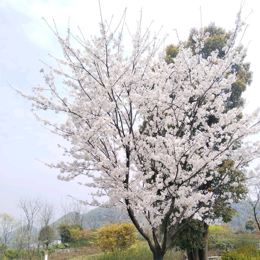 淡定与沉淀