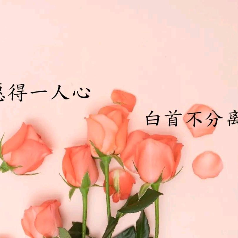 🌧️°郭郭