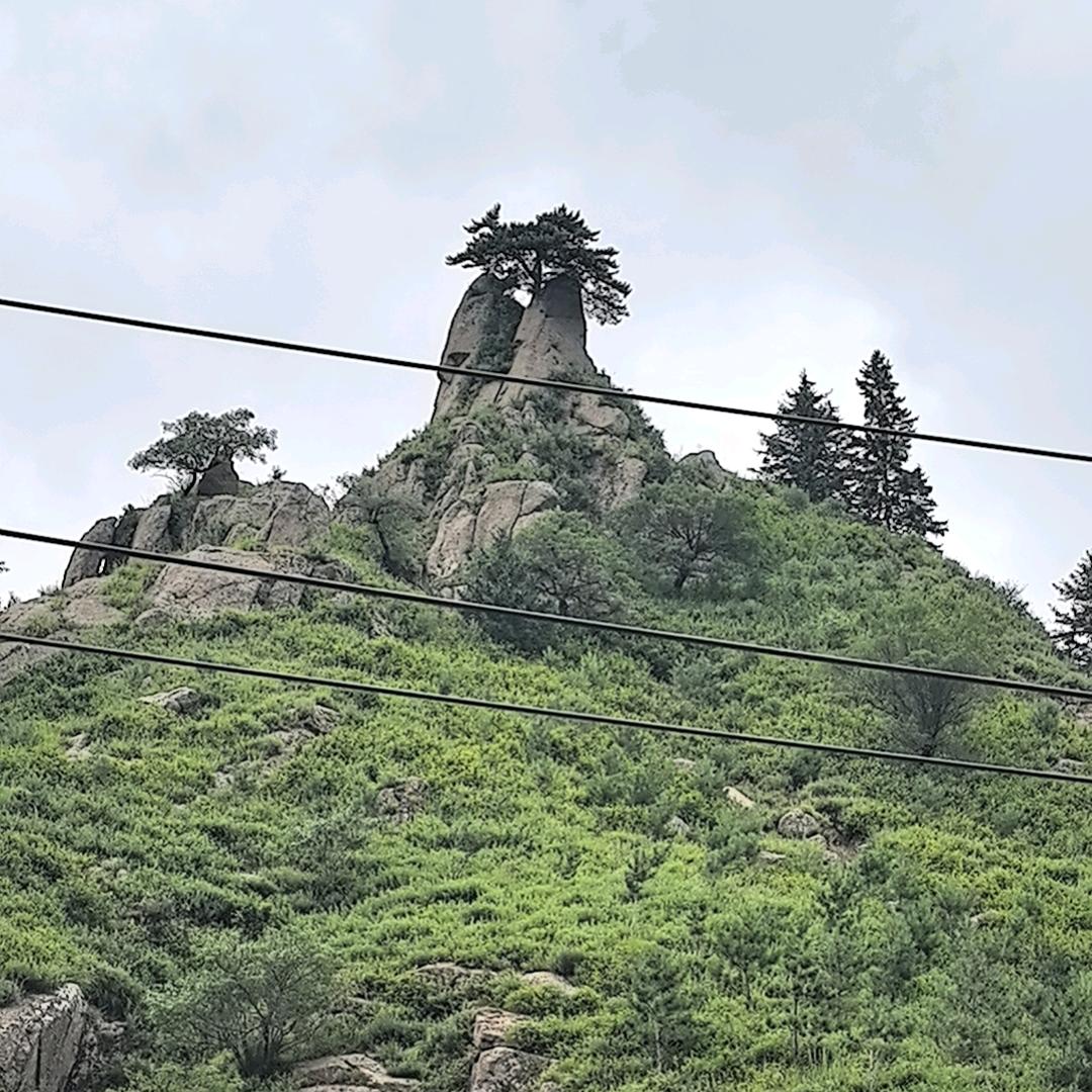 小六子