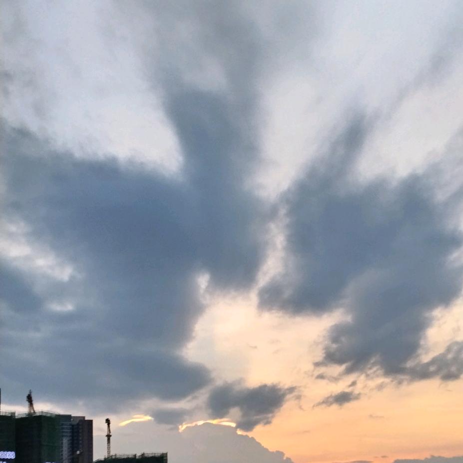 腻子     杨