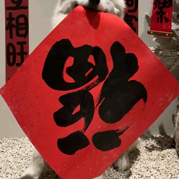 贝贝