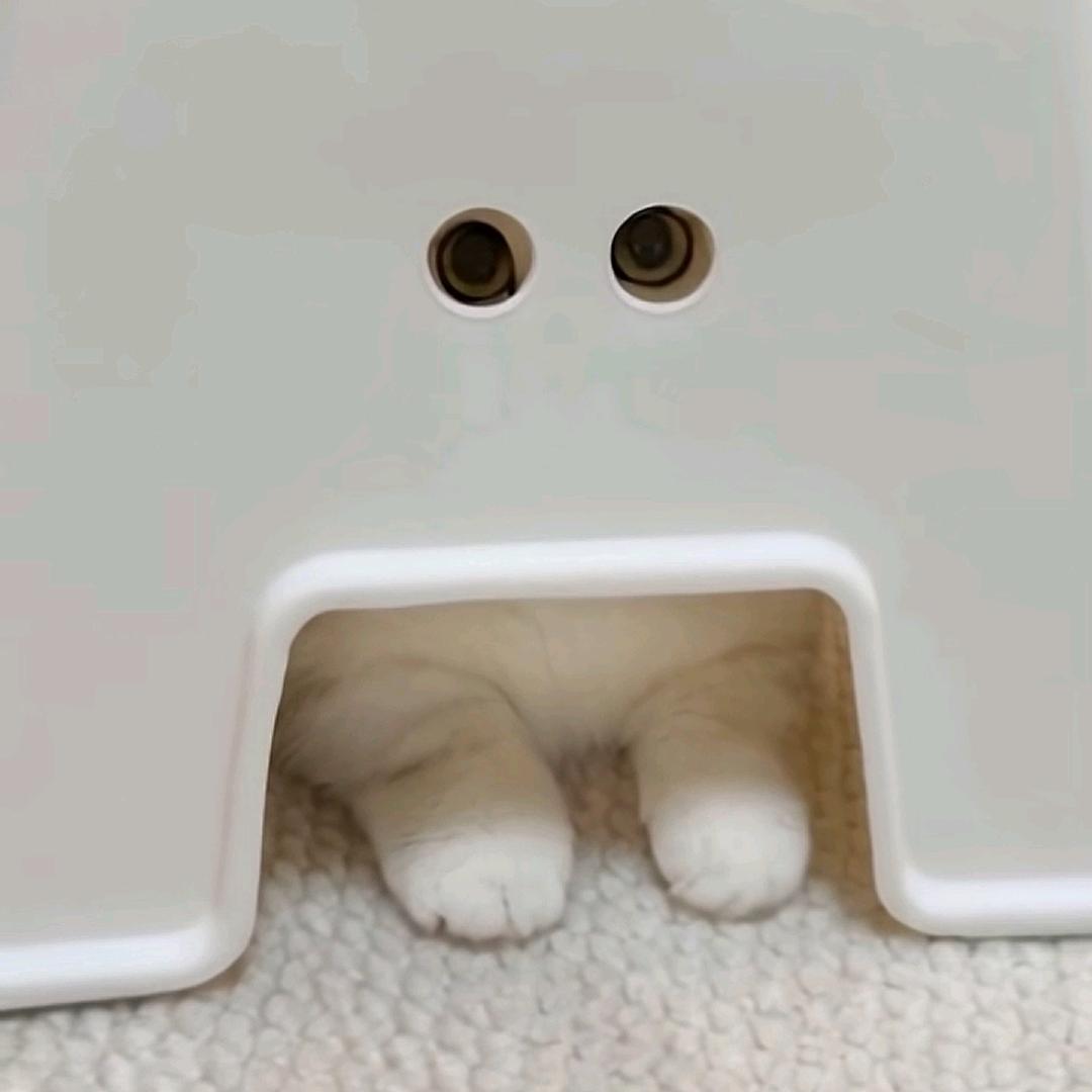 闷声干大事儿ོ