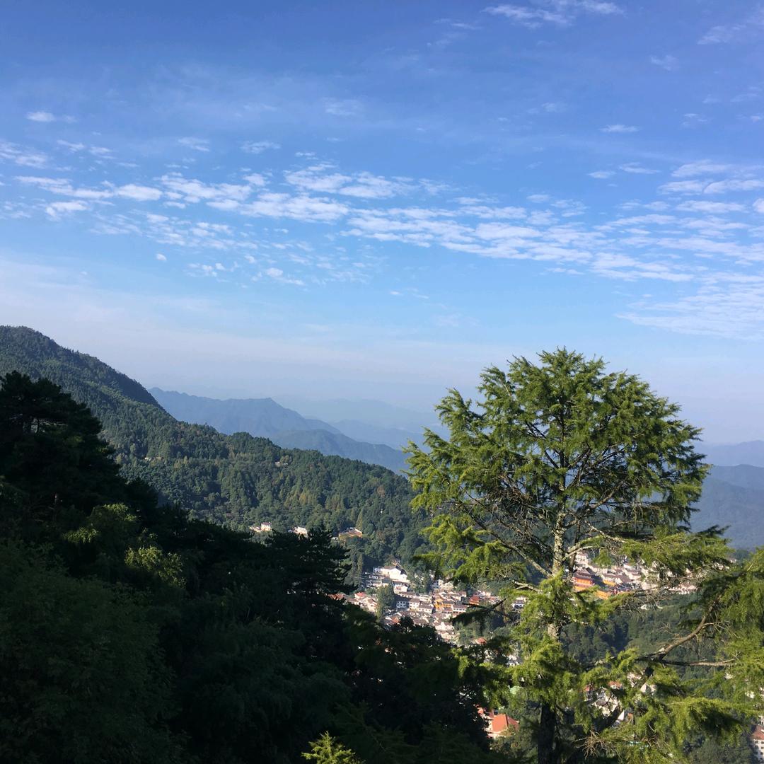 九月橙