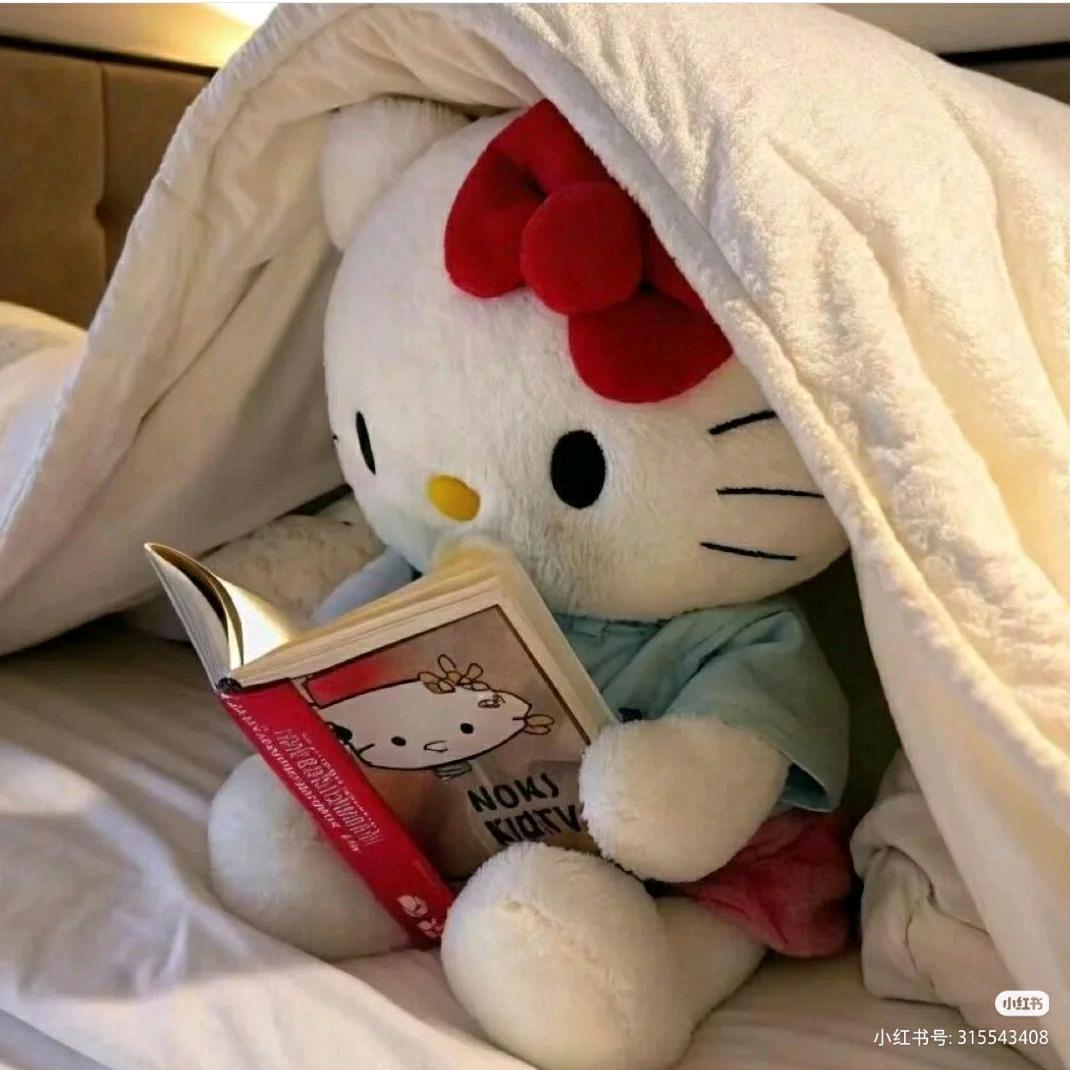 别和小猫计较