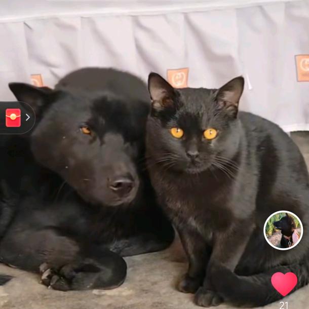 此号一个月后注销