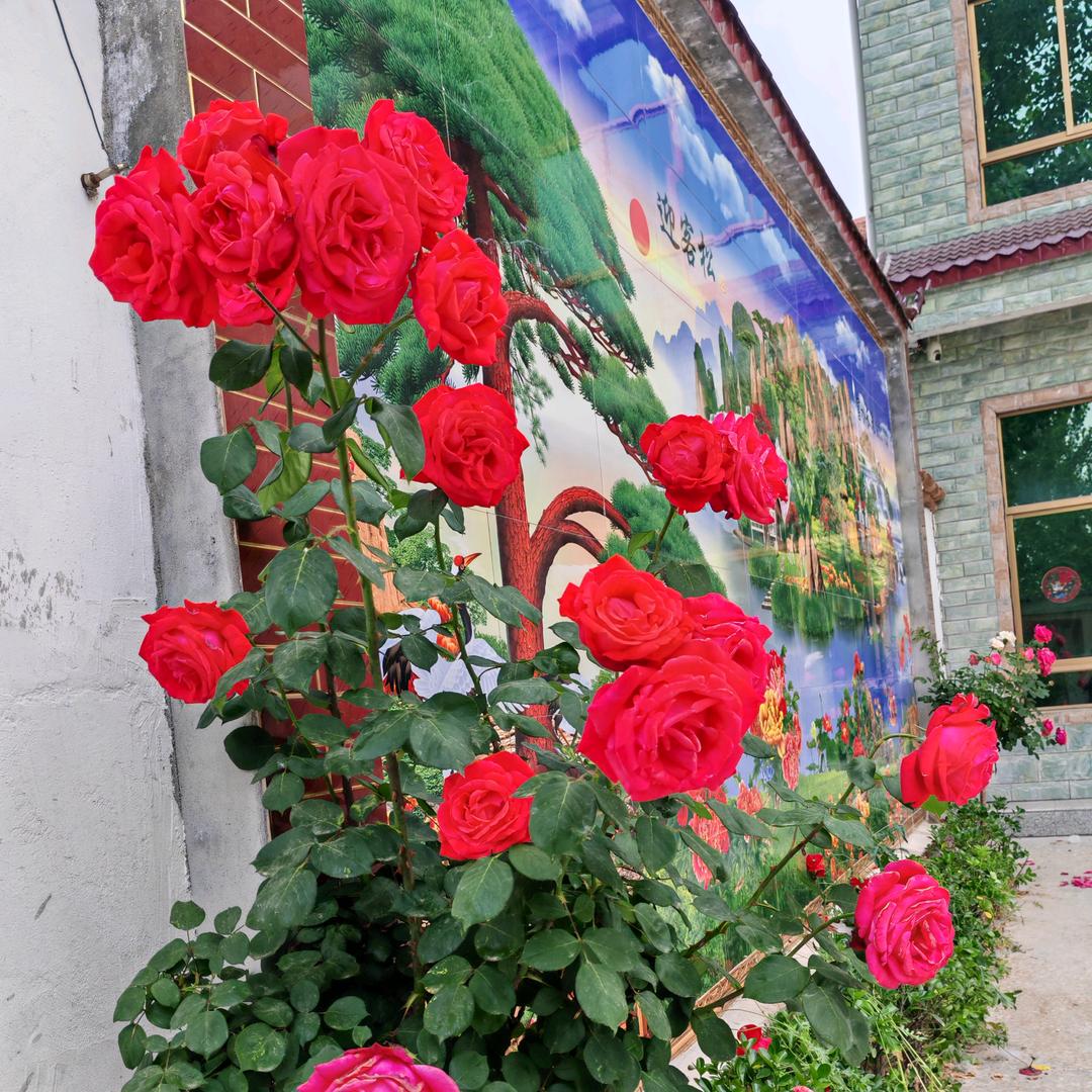 彭彭💞💞生活