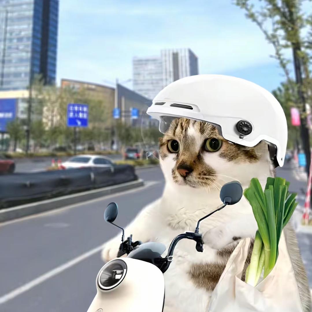 基米的骗子我问你