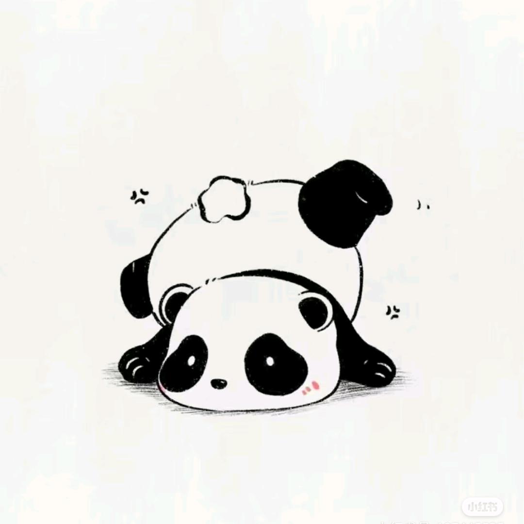 追寻光者