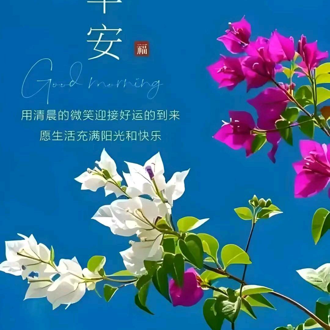 檀