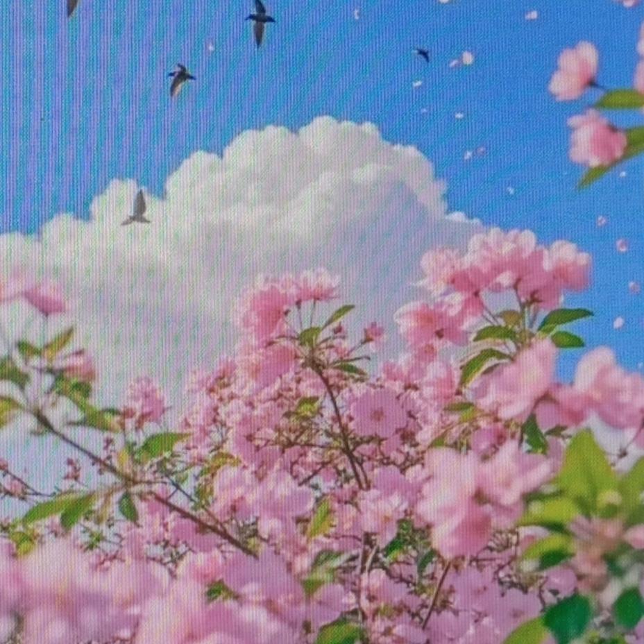 耀发文化丁丁
