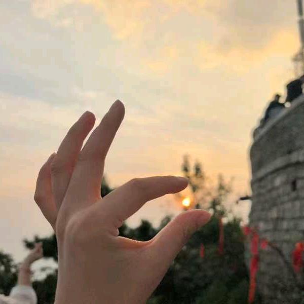 橘子好物