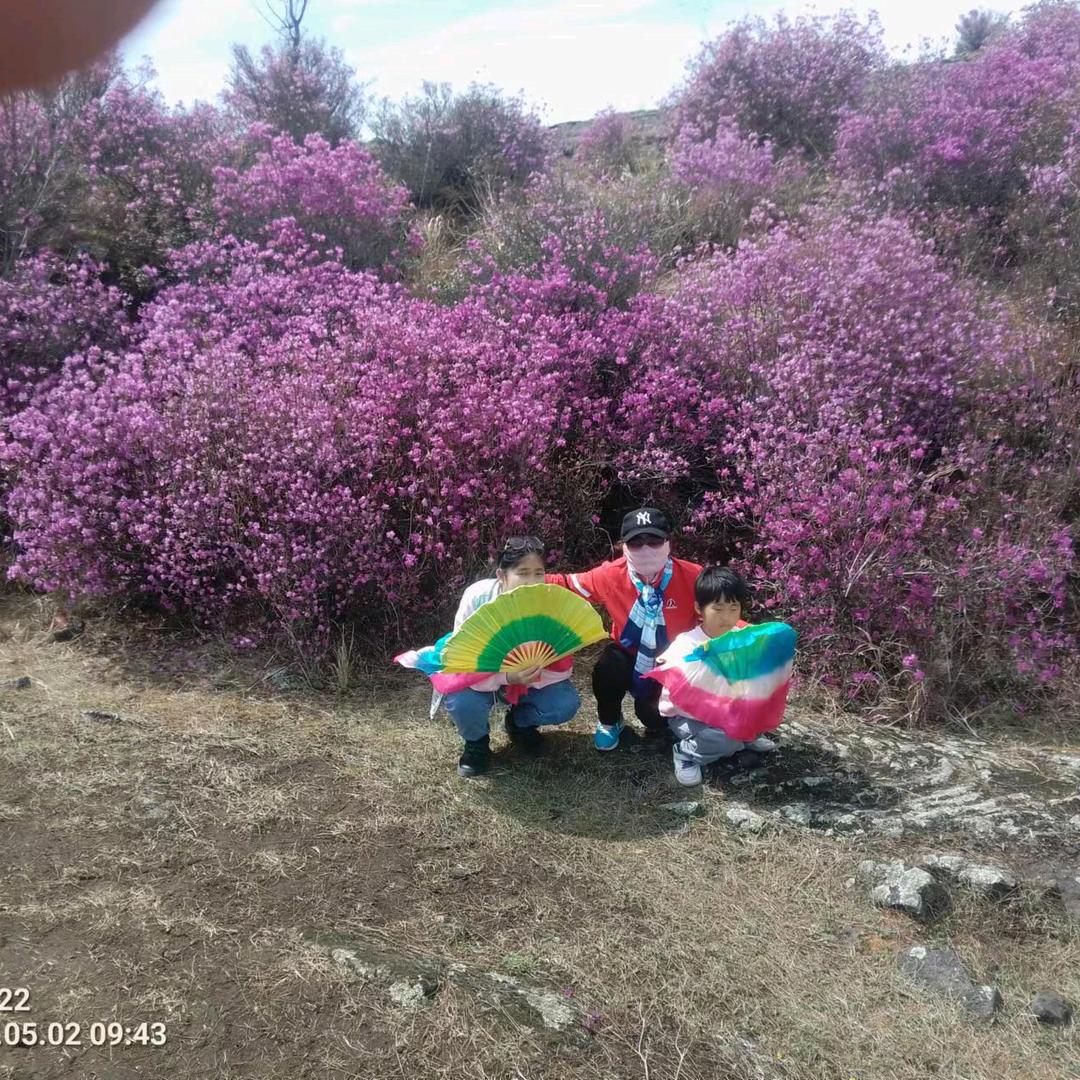 还唱歌的小红