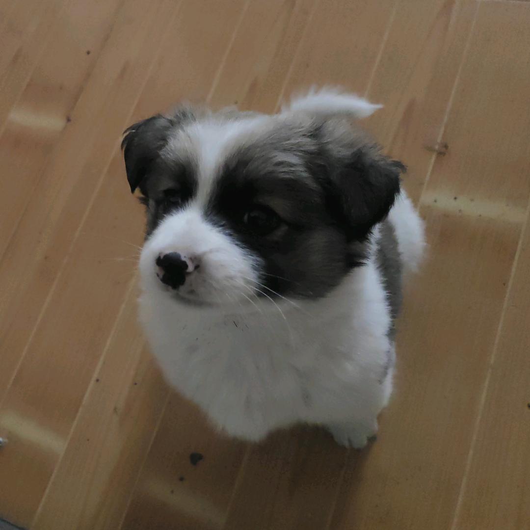 星期八去看你。