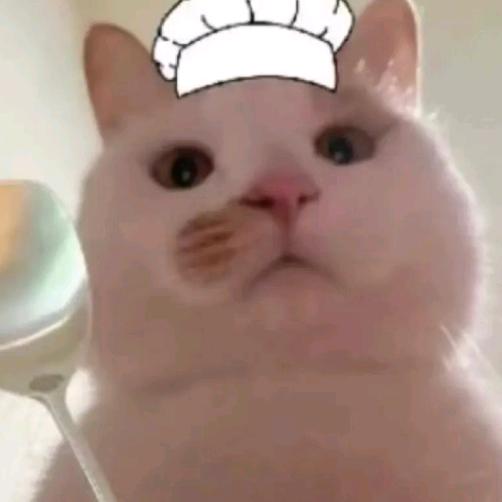 奈OvO