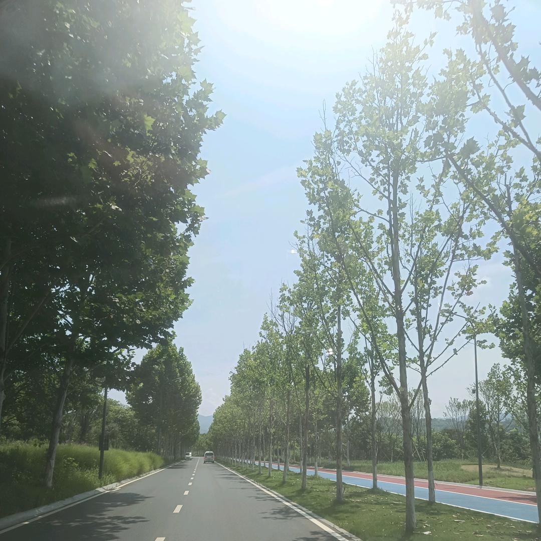 阿建锅