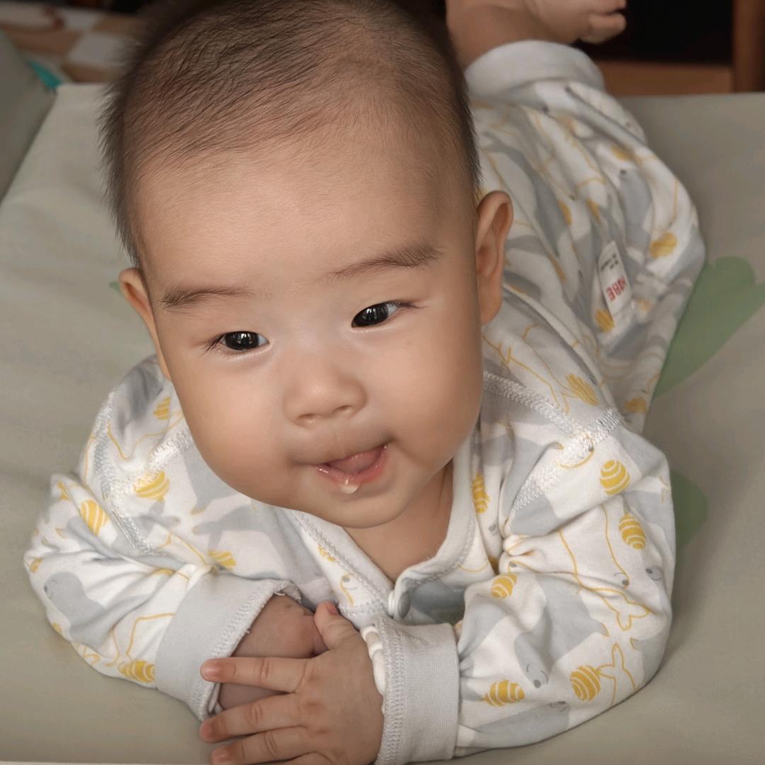 桃花依旧笑春风