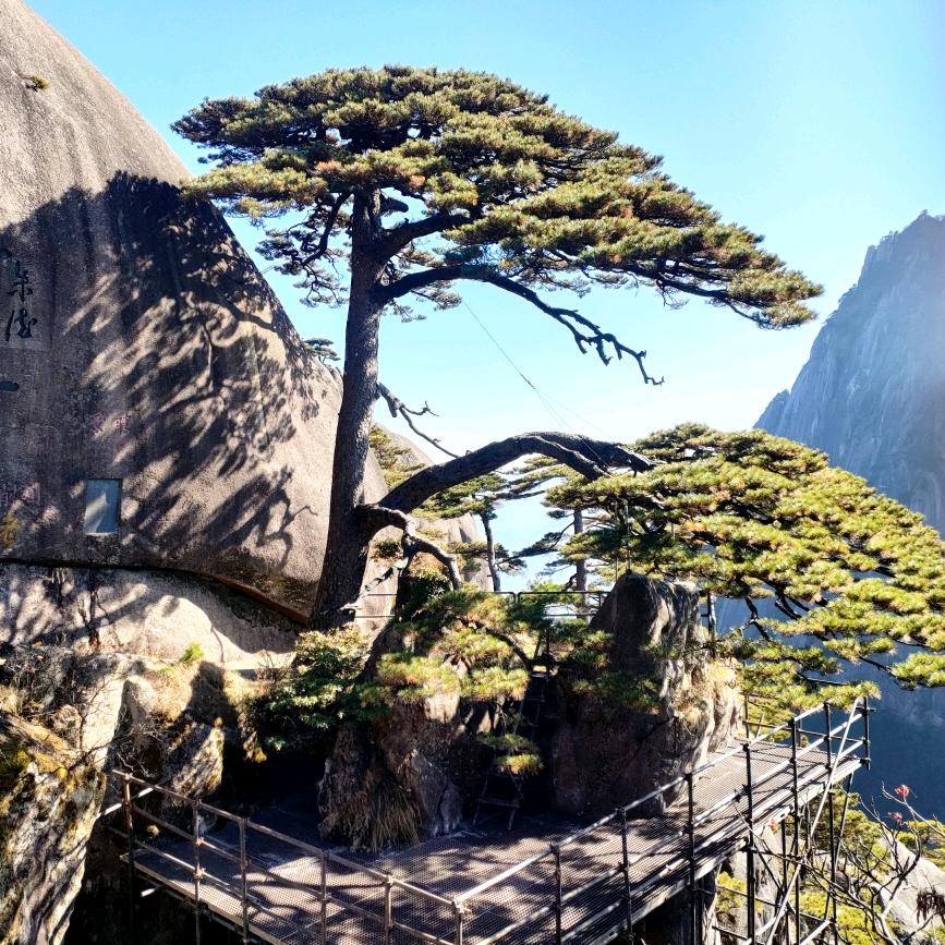 岁月静好🌻