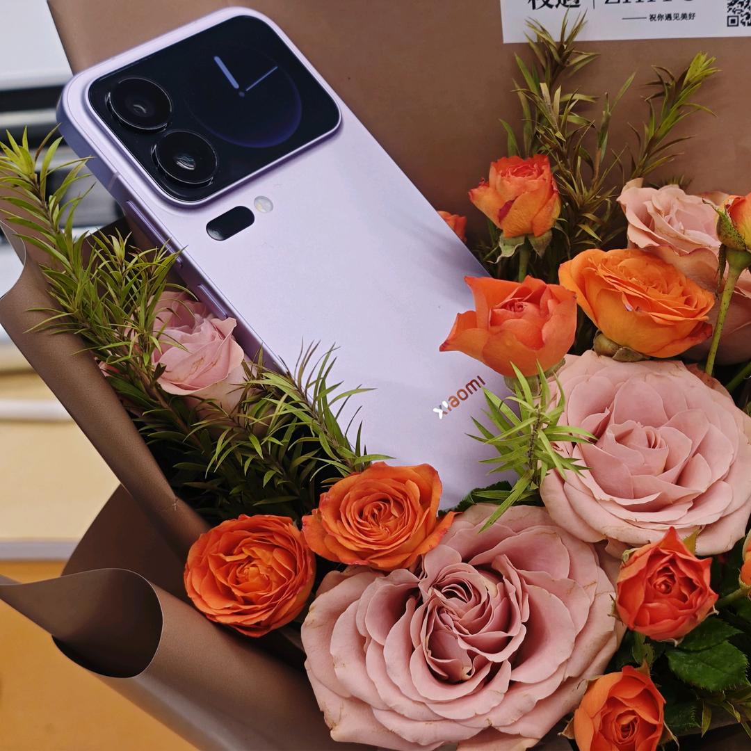 磁县建设路小米授权体验店