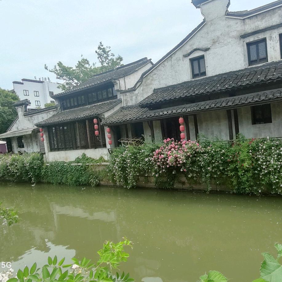 🥀᭄余生..安好